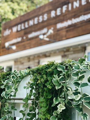 The Wellness Refinery - Patio at The Wellness Refinery in Sauble Beach