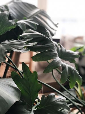 The Wellness Refinery - The Space at The Wellness Refinery in Sauble Beach