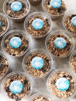 The Wellness Refinery - Food Feature at The Wellness Refinery in Sauble Beach