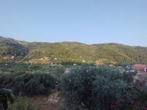 Relaxing view from the terrace at Ristorante Da Pippo in Montecorice