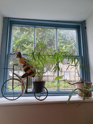 Cute decorations at The Honey Pot in Penzance