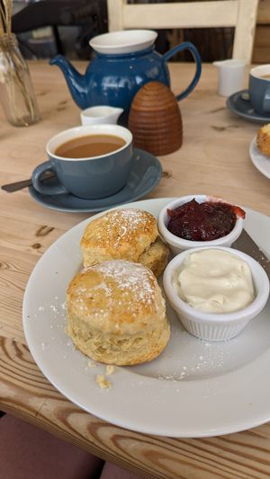  at The Honey Pot in Penzance