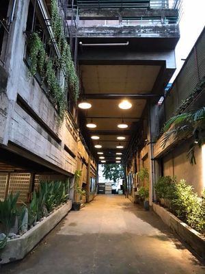 In/out of our basement parking at Monkey Grounds Coffee in Iloilo City