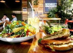 Nachos Jalapeno Salad/Grilled Cheese Sandwich at Monkey Grounds Coffee in Iloilo City