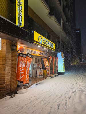  at Coco Ichibanya in Sapporo