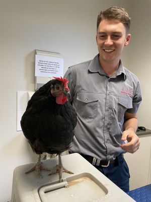 Vet service at Lucky Stars Sanctuary in Wootton