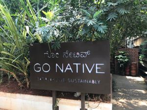 Feels hidden away from the hustle and bustle  at Go Native - Jayanagar in Bangalore