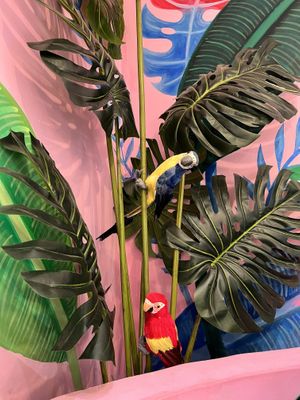 Inside at Happy Blender in Athens