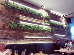 Green wall at Mischbar in Nuremberg