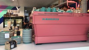 Adorable  at 27 Degrees in Palm Cove