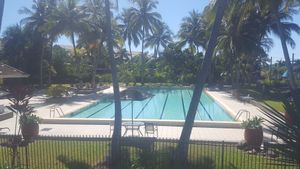 Fabulous free pool at Paradise Palms in Kewarra Beach