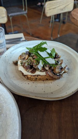  at Equium Social in Newcastle