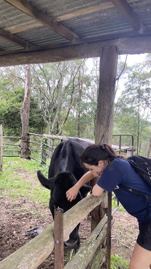   at Farm Animal Rescue in Dayboro