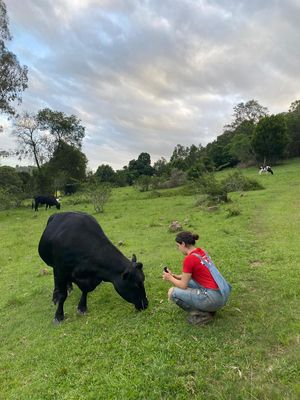   at Farm Animal Rescue in Dayboro