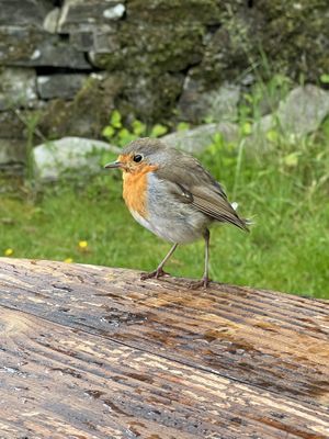   at The Sandwich Station in Isle Of Arran