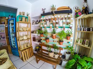 Nibbles, café, tostadas, herbal plants at Ndaroo Organic in Oaxaca