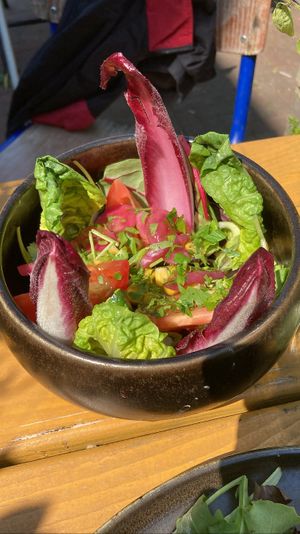 Side salad: always surprised how pretty and tasty a simple side salad can be at GYS  at GYS - Amsterdamsestraatweg in Utrecht