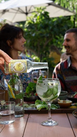 Gin and Tonic at GYS - Amsterdamsestraatweg in Utrecht