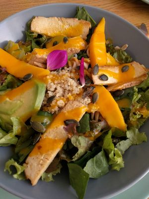 Tofu and quinoa salad at Citrus Coffee in Caldas Da Rainha