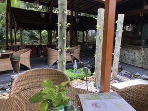Garden view at Taksu Garden Cafe in Ubud