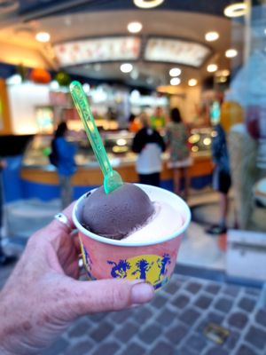Melon and dark chocolate at Gelateria Da Vinci in Bruges