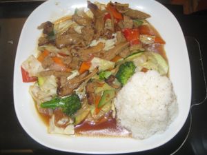 BBQ duck at Formosa Food in Vienna