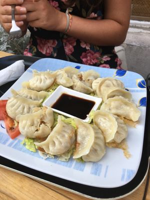 Dumplings at Formosa Food in Vienna
