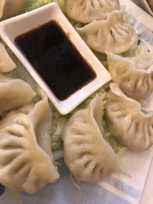 obligatory dumplings  at Formosa Food in Vienna