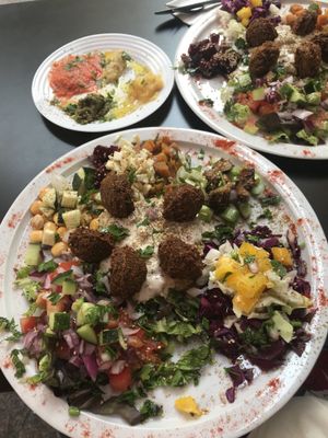 Falafel plate  at Le Falafel in Nice