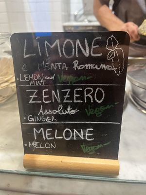 Some examples of vegan flavours. The vegan pistachio is 10/10.  at Gelato San Lorenzo in Rome