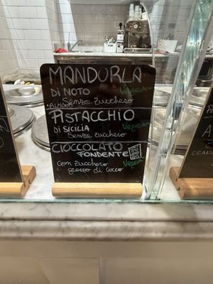 Vegan options  at Gelato San Lorenzo in Rome
