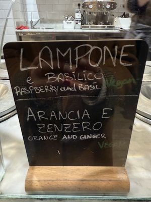 Vegan options  at Gelato San Lorenzo in Rome