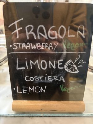 Vegan options   at Gelato San Lorenzo in Rome