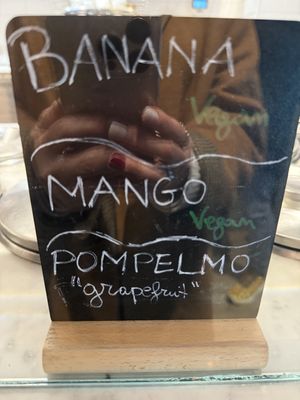 Vegan options  at Gelato San Lorenzo in Rome