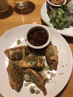 Veggie dumplings🤩 at Lemongrass in Annapolis
