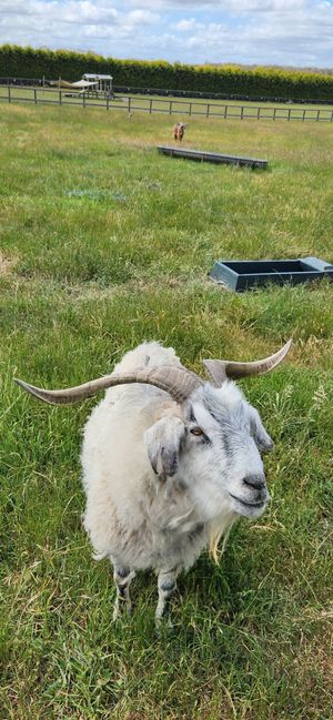  at Edgar's Mission in Lancefield