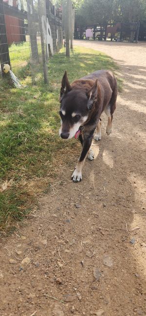  at Edgar's Mission in Lancefield