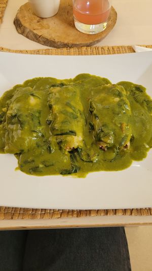 cannelloni spinach at Camino al Sol in Havana