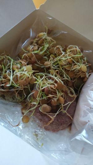 they did need a sauce but the bechamel wasn't my favorite.. at Camino al Sol in Havana