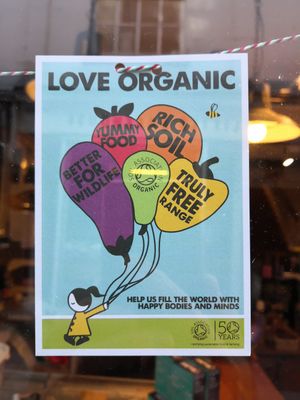 Organic 😊 at The Healthy Life Company in Devizes