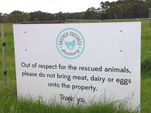  at Greener Pastures Sanctuary in Waroona
