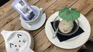 Vegan artisan almond ice cream. REALLY delicious and creamy!   at La Compagnie des Chats in Avignon