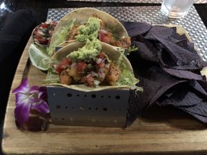 Gluten free tacos  at Jo Bistro in West Palm Beach