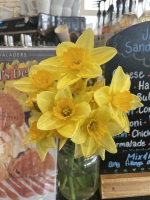   at Cadwaladers in Cardiff