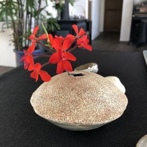 Minimalist  at Holistic Cafe in Nakatsu