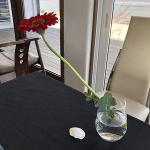 Nice at Holistic Cafe in Nakatsu