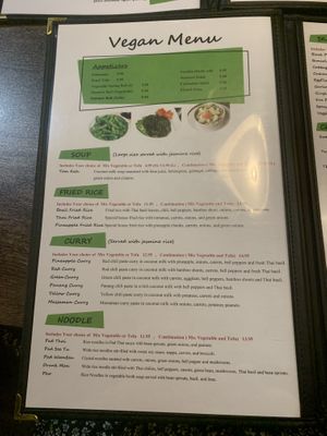 Vegan menu 1/2  at Thai Time in Jackson
