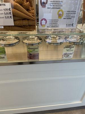 Vegan flavours  at Gelateria Ara Macao in Albisola Superiore
