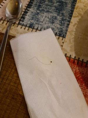 HAIR at Mama Terra Veggie Corner in Tbilisi