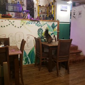 Кошка прыгает at Mama Terra Veggie Corner in Tbilisi